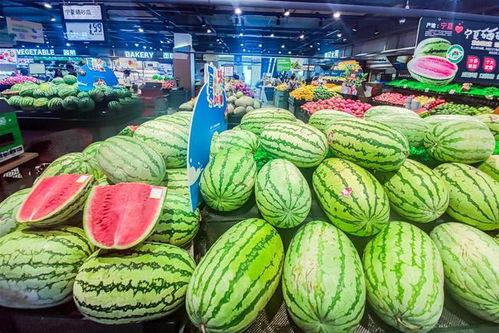 包头高雅茹吃瓜,瓜界新宠，瓜味人生