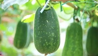 3月吃瓜合集,盘点热门吃瓜瞬间