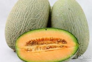 星星吃哈密瓜,哈密瓜盛宴之旅