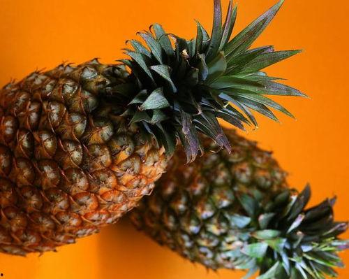 菠萝吃瓜群,揭秘网络社交圈的趣味与争议