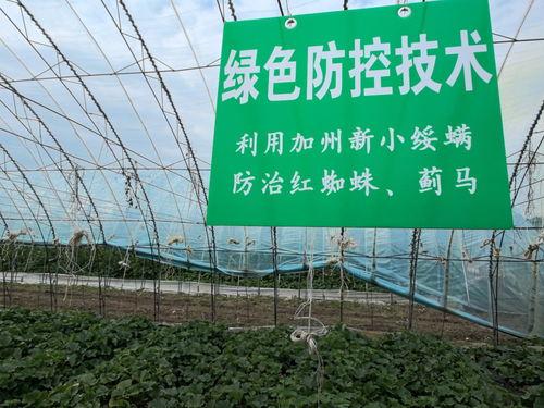 吃瓜黑龙江科技,吃瓜群众眼中的创新盛宴