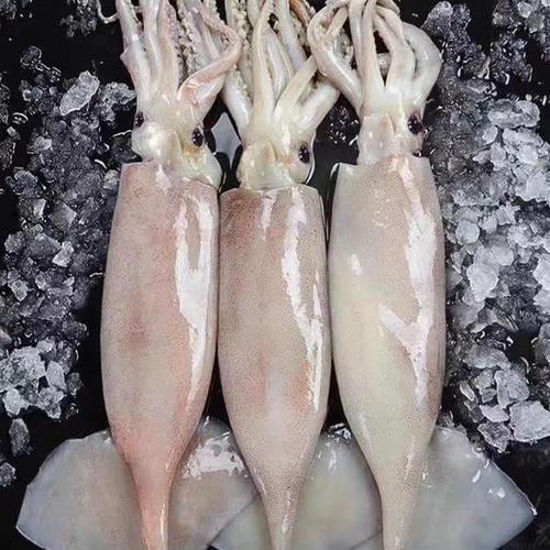 吃瓜少女魏淑芬吃鱿鱼,吃瓜少女的美食冒险之旅