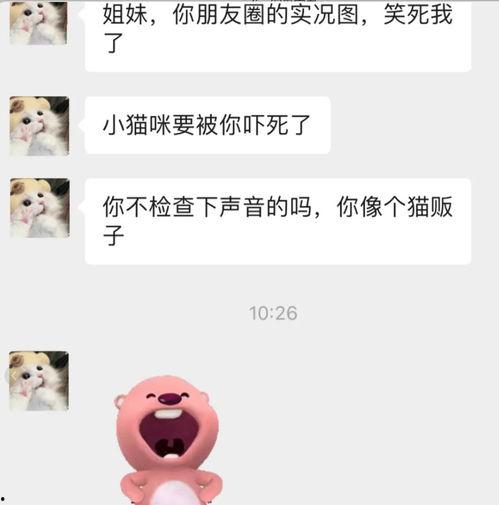 吃瓜微信聊,网络社交的趣味与争议