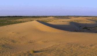 沙漠蜜瓜怎样吃,解锁夏日清新美味