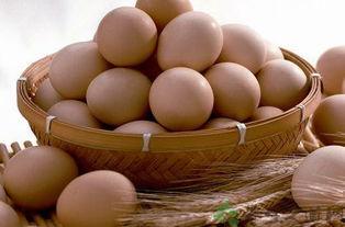 吃瓜过后可以吃鸡蛋吗,鸡蛋美食新体验