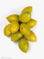 黄李吃瓜,揭秘娱乐圈背后的那些事儿