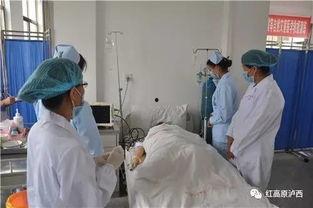 医生 谈吃瓜,揭秘吃瓜背后的健康秘密