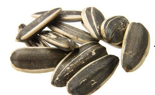 吃瓜一带瓜子,揭秘瓜果零食的趣味时光