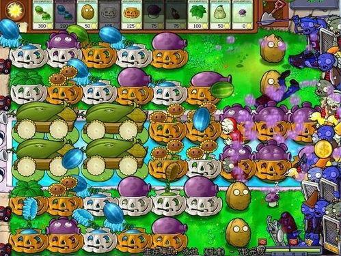 吃瓜截流玩法视频,轻松掌握视频流量新技巧